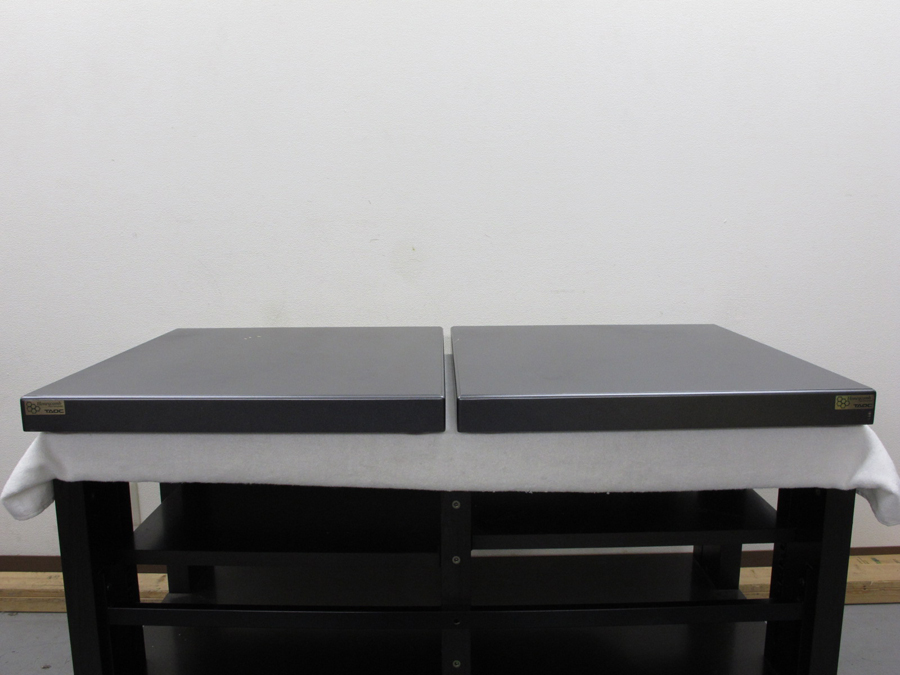 TAOC SCB-RS-HC65G オーディオボード ペア @27241 / 中古
