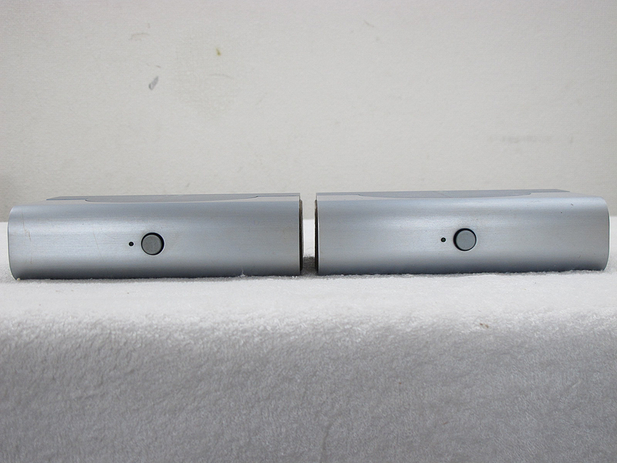 FLYING MOLE DAD-M1(ペア) デジタル・パワーアンプ @33647 / 中古