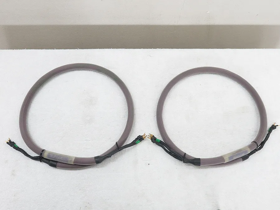 Aural Symphonics SYMPHONIC CONDUCTOR PURPLE GENⅡ