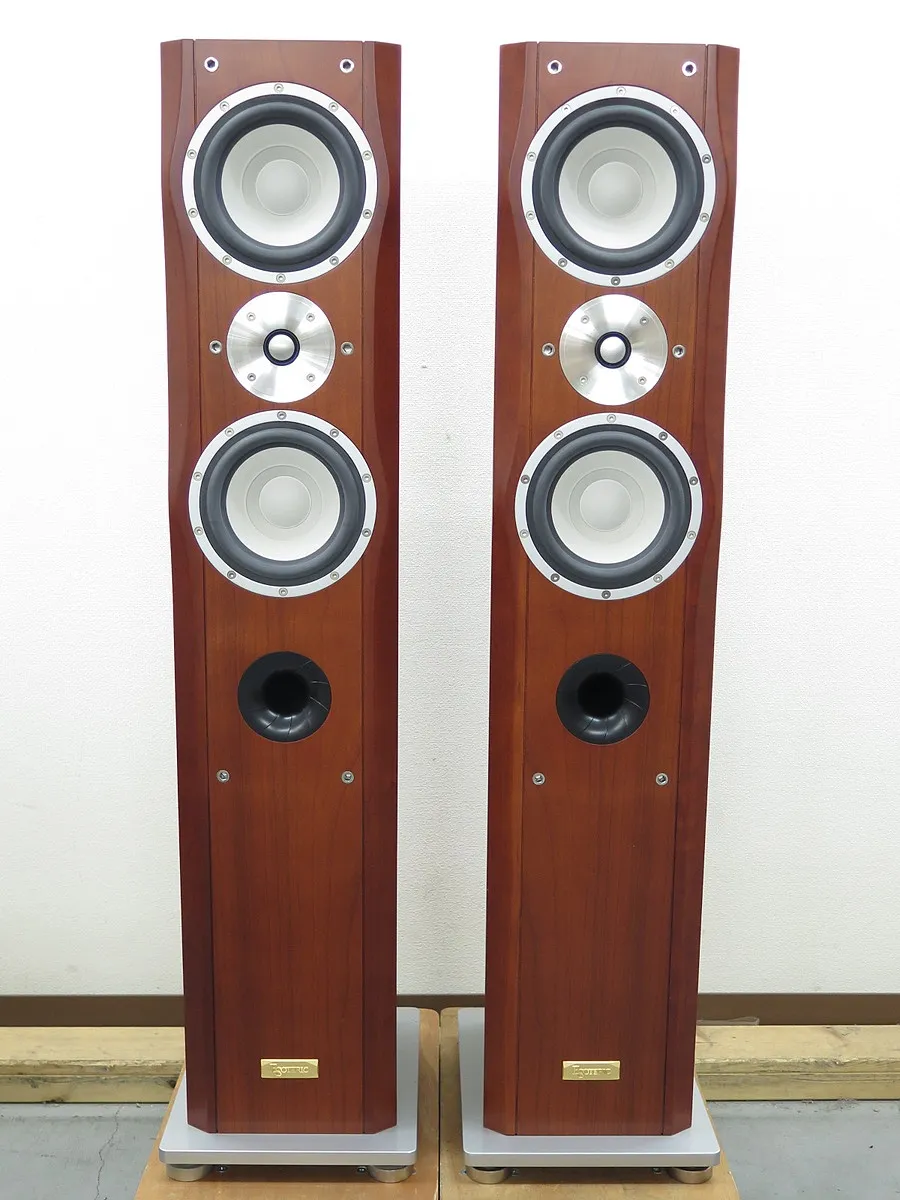 エソテリック ESOTERIC MG-20 スピーカー ペア 元箱付