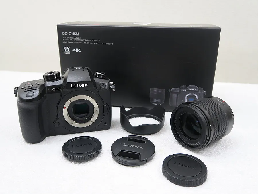 パナソニック Panasonic LUMIX DC-GH5 カメラ 元箱付
