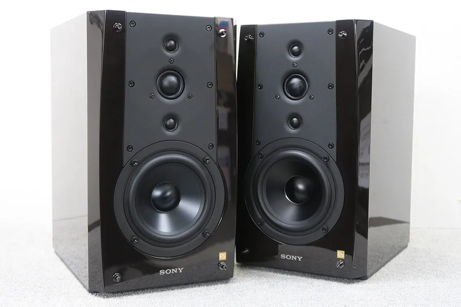 SONY SS-NA5ESPE （1本）ペア購入必須A 1.webp