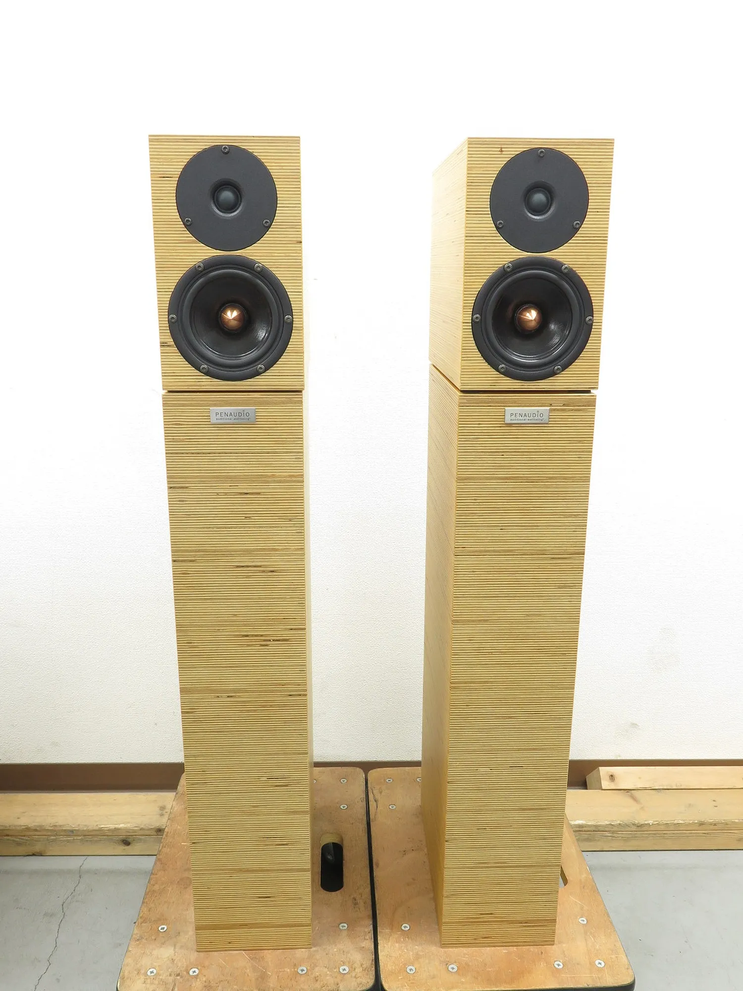 ペナウディオ PENAUDIO CHARISMA+CHARA COMPLETE SYSTEM スピーカー