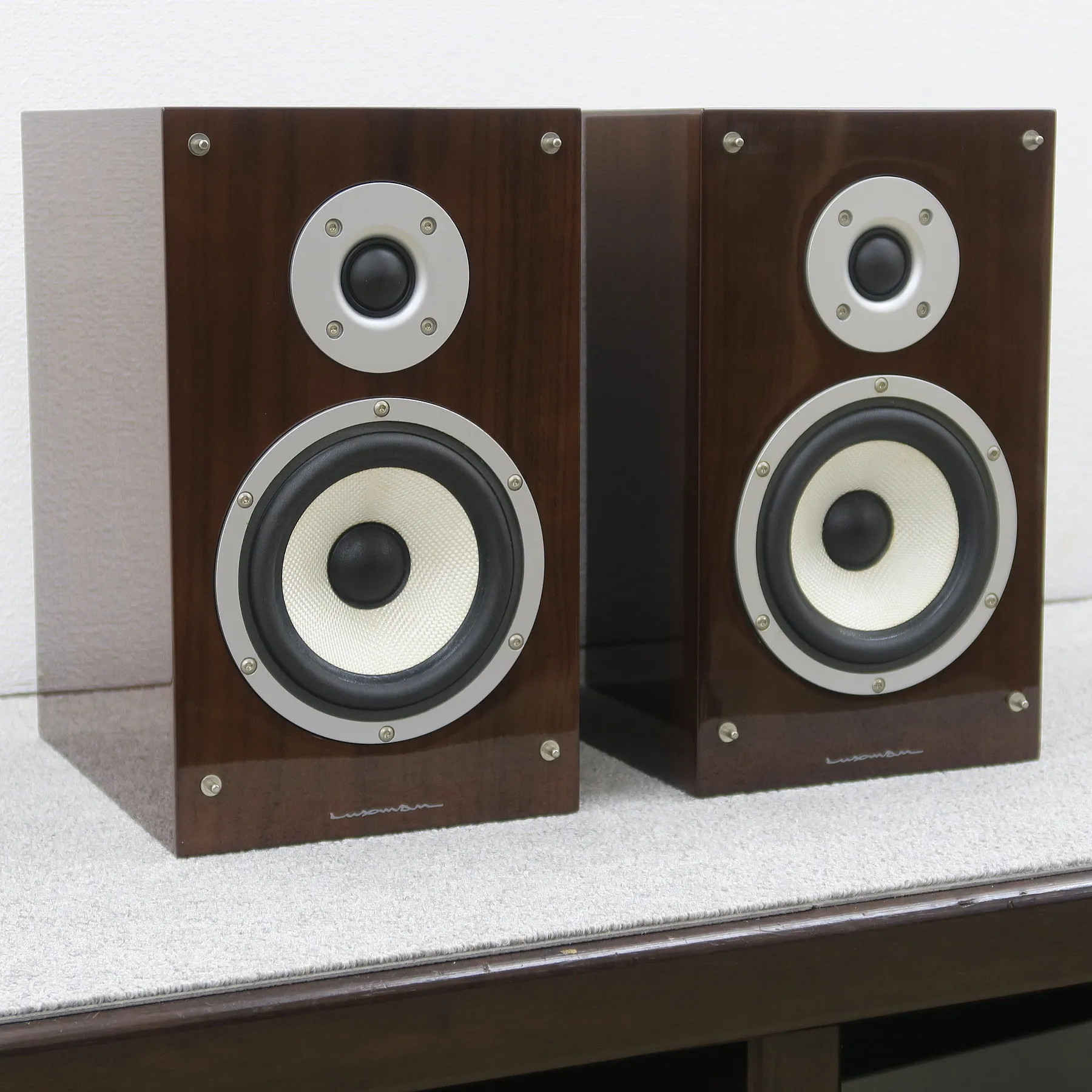 ラックスマン LUXMAN S-N100 スピーカーペア