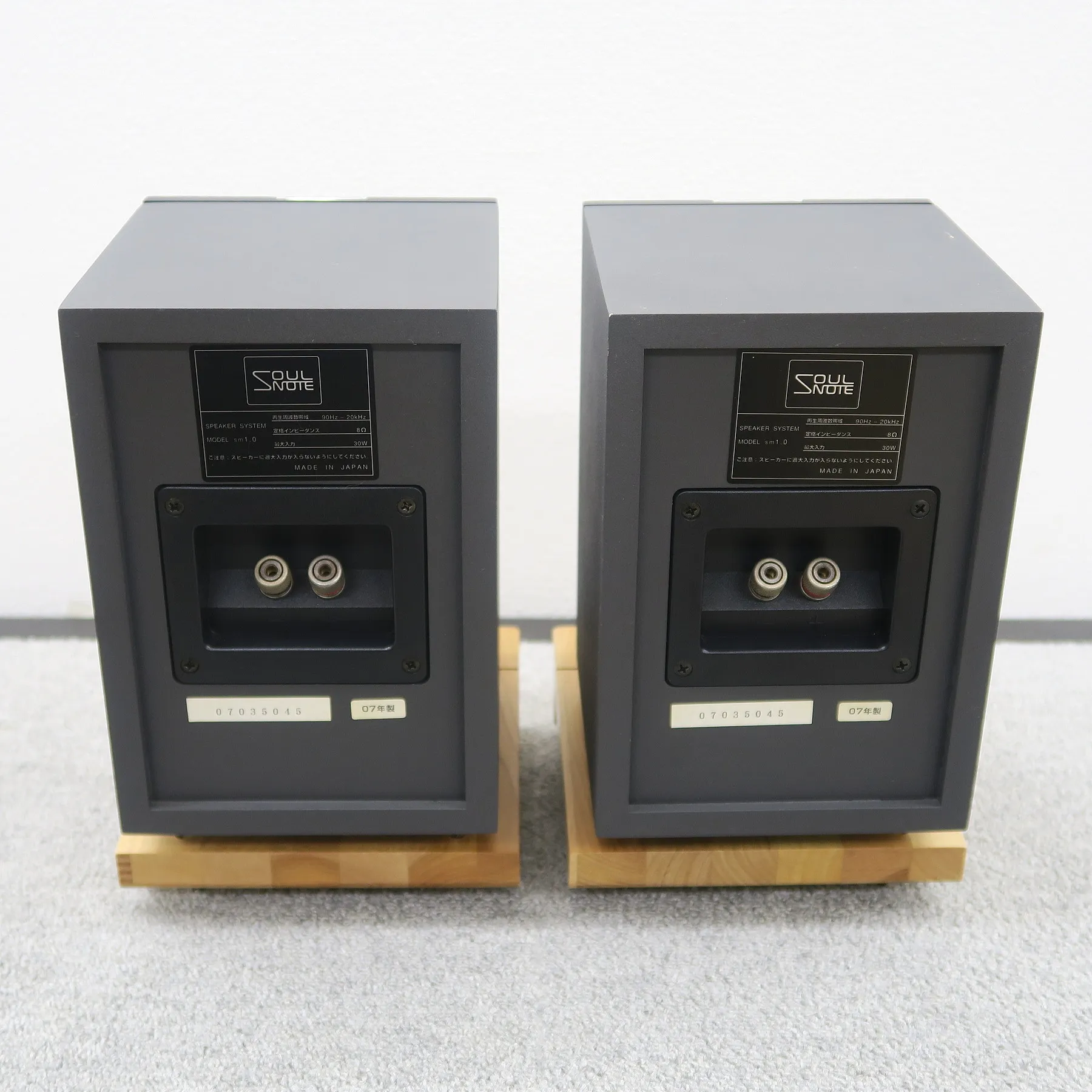 ソウルノート SOULNOTE sm1.0 + sb1.0 スピーカーペア @53213｜中古