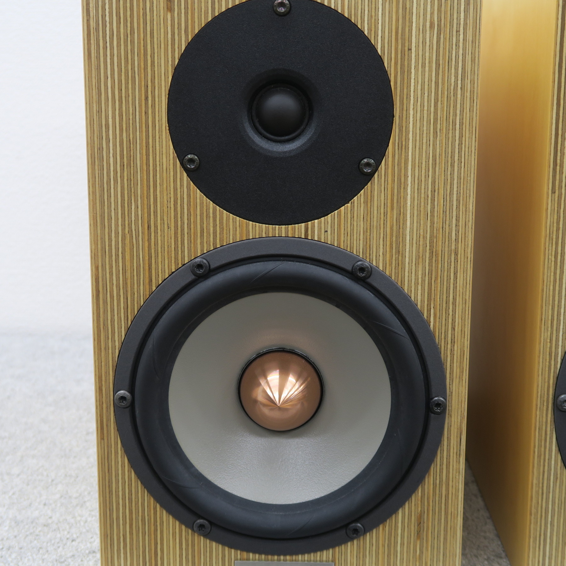 Penaudio cenya ブックシェルフスピーカー PENAUDIO : CENYA - 中古 | オーディオユニオン