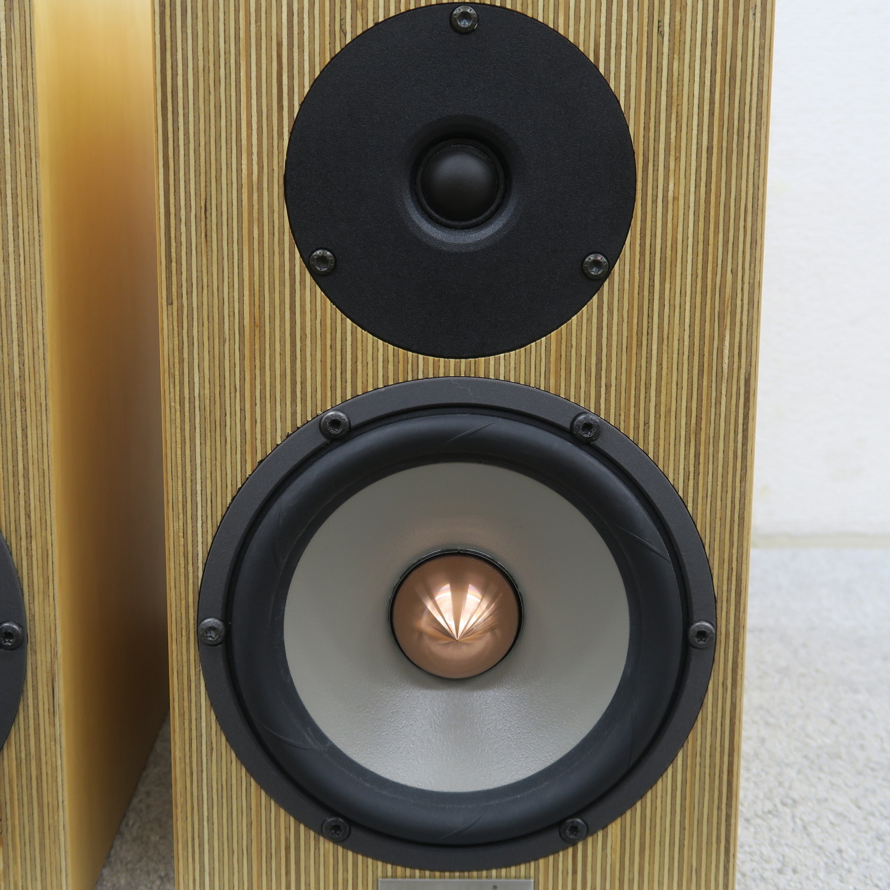 Penaudio cenya ブックシェルフスピーカー penaudio cenya Used